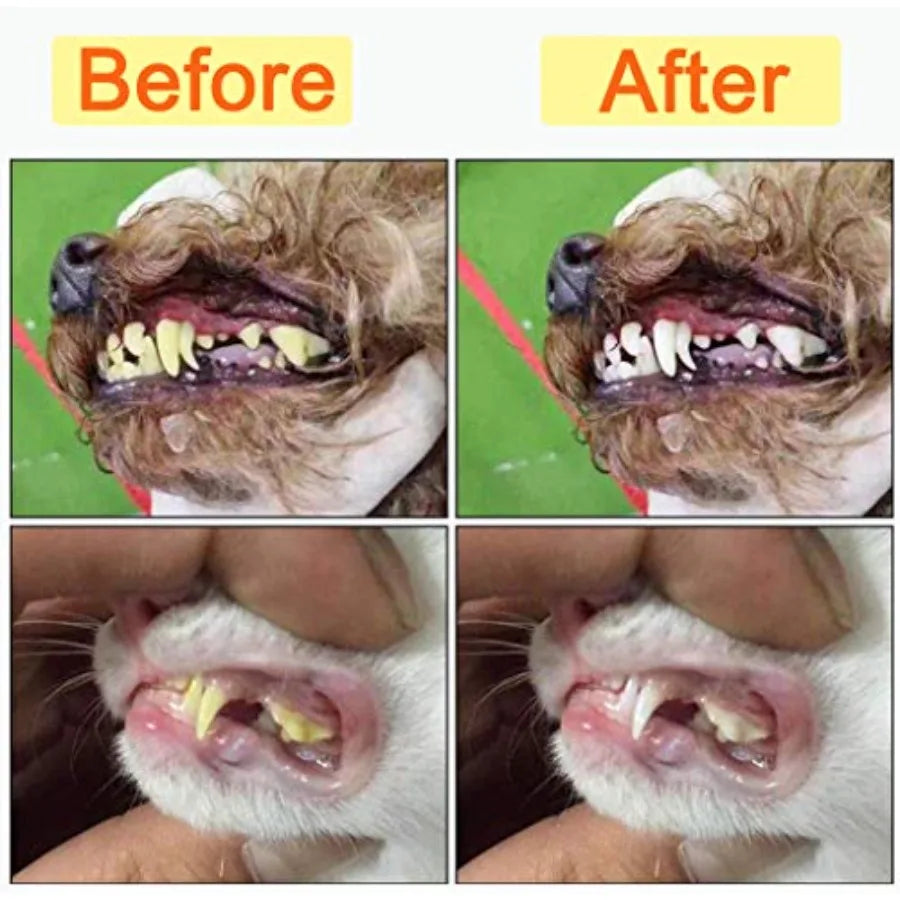 10 Pack Pet Dog Toothbrush, 2 Triple Head Pet Toothbrushes 3 Double Head Tooth Brush 5 Pack Finger Rubber Toothbrushes, Multi-A