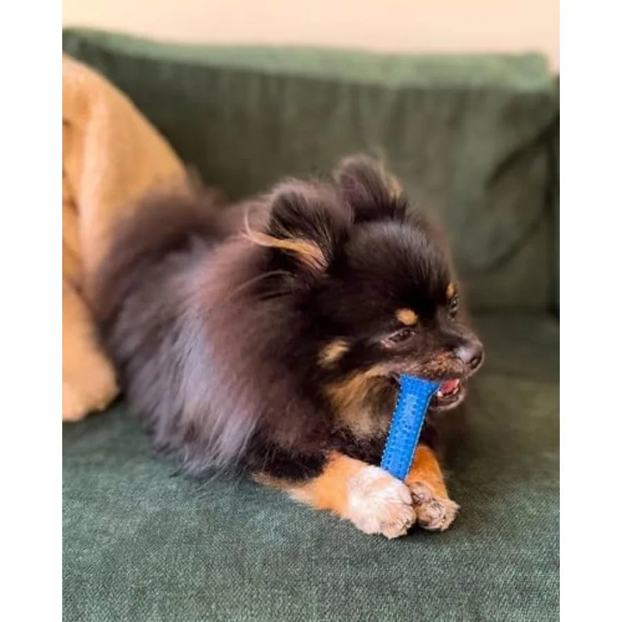 Textured Dental Bone Flexi Chew Toy for Dogs, Dog Toys for Moderate Chewers, Chicken Flavor, - Up to 15 lbs, 1 Count