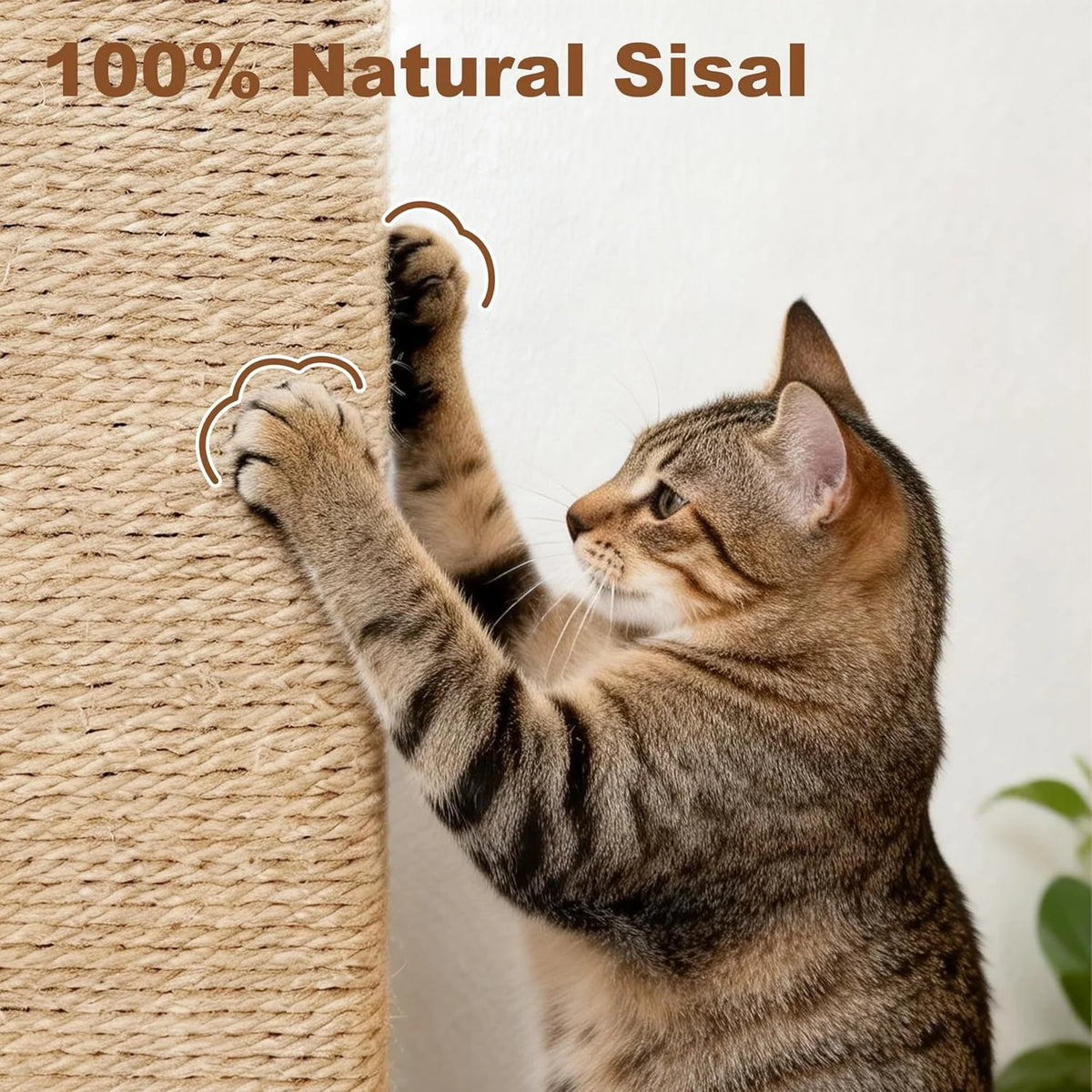 Heavy Duty Cat Scratcher Scratching Post Large Plush Top Cat Bed Perch Sisal Wrapped Cat Tree with Dangling Ball Interactive Toys for Indoor Cats