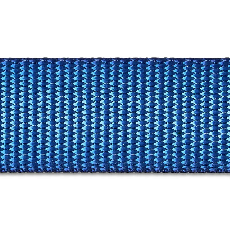 6' Solid Polyester Leash, Blue, M/L