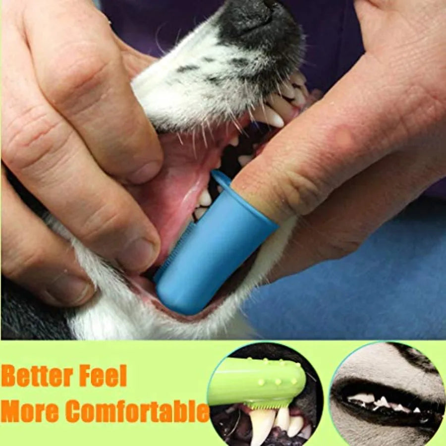 10 Pack Pet Dog Toothbrush, 2 Triple Head Pet Toothbrushes 3 Double Head Tooth Brush 5 Pack Finger Rubber Toothbrushes, Multi-A