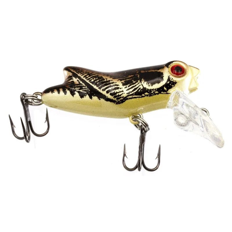 Crankbait, Autumn, Freshwater Fishing Lure