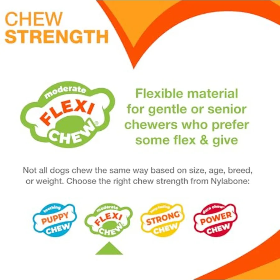 Textured Dental Bone Flexi Chew Toy for Dogs, Dog Toys for Moderate Chewers, Chicken Flavor, - Up to 15 lbs, 1 Count