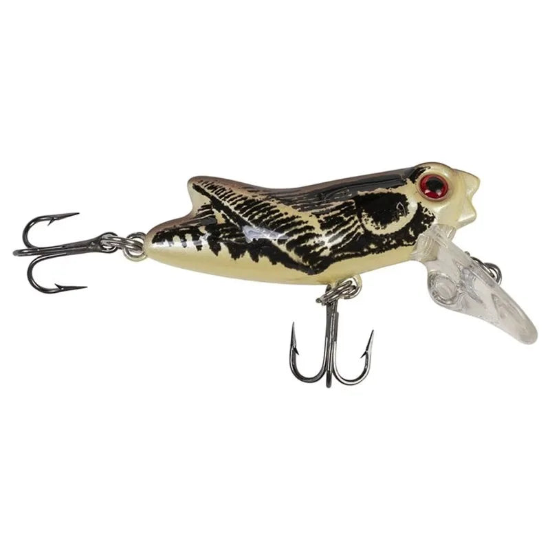 Crankbait, Autumn, Freshwater Fishing Lure