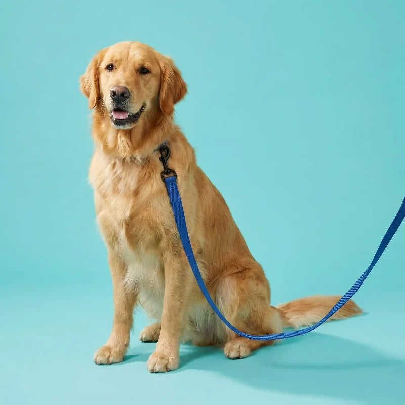 6' Solid Polyester Leash, Blue, M/L