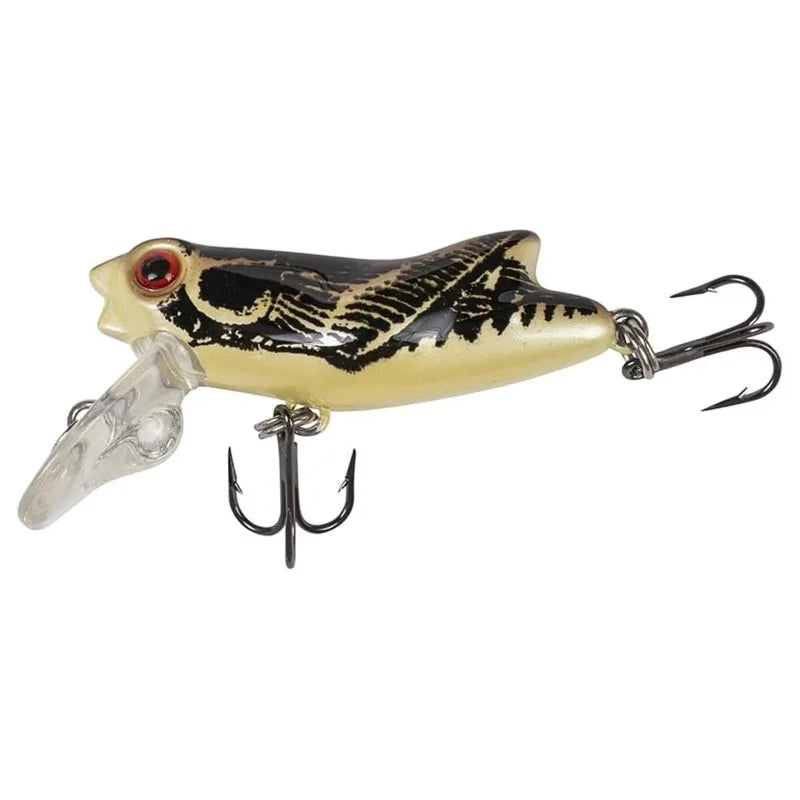 Crankbait, Autumn, Freshwater Fishing Lure