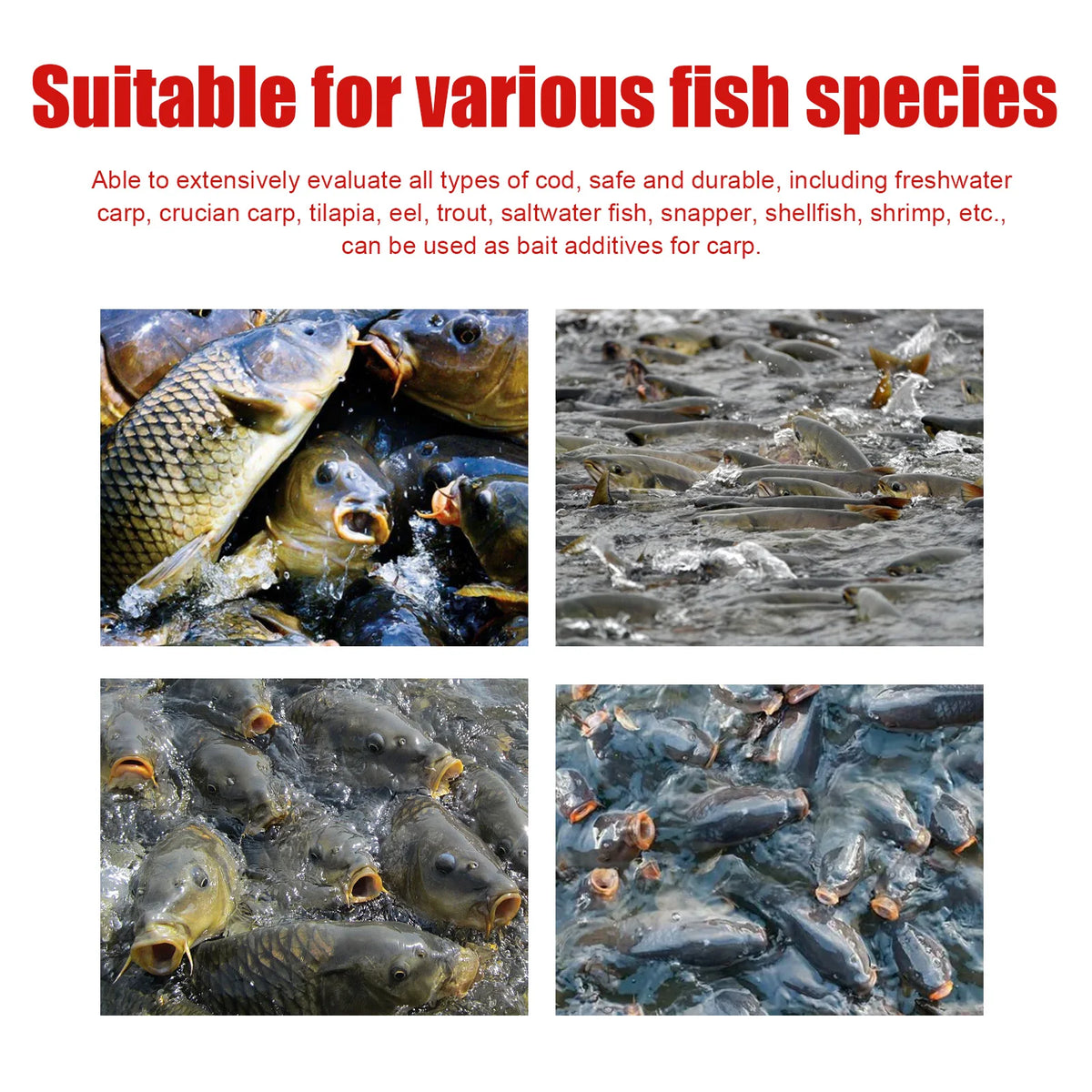 High Concentrate Red Worm Liquid Fish Attractant Bait Red Worm Extract Carp Crucian Bream Fishing Lure Additive Strong Smell Pheromone Freshwater Fishing Supplies