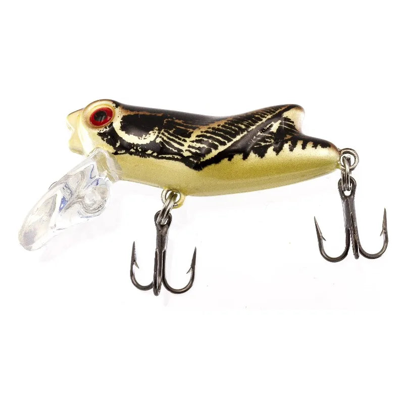 Crankbait, Autumn, Freshwater Fishing Lure
