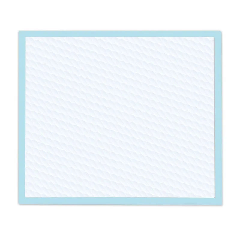 6-Layer Dog Training Pads, 10 Count