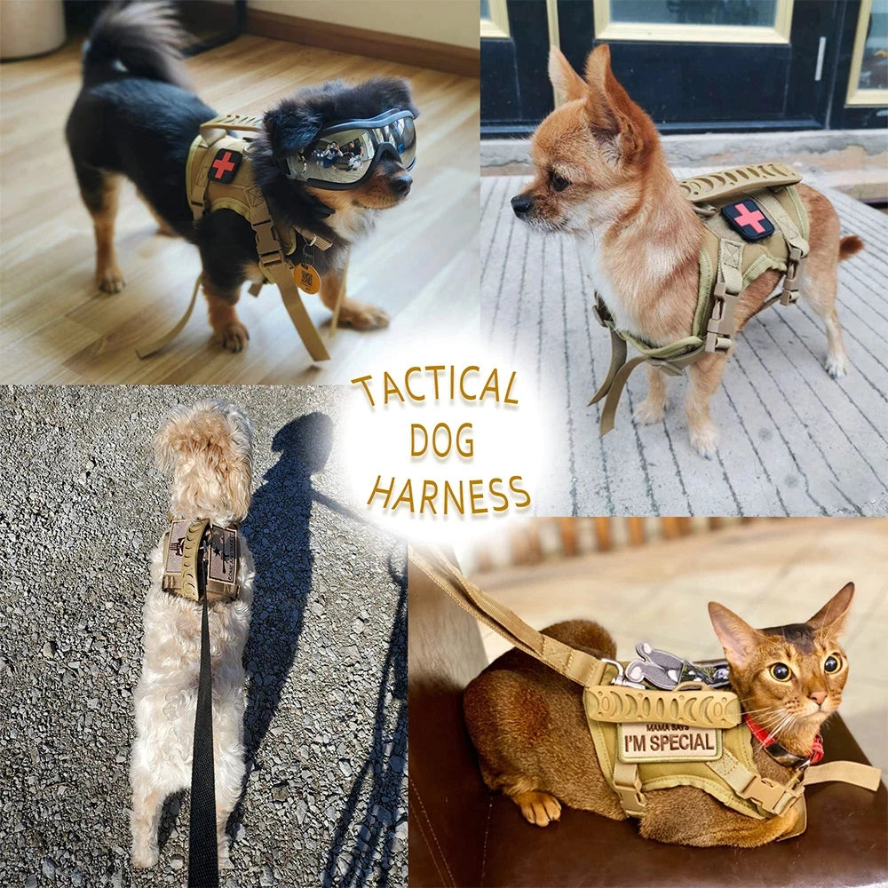 Tactical Puppy Harness Leash Set For Small Dogs Adjustable Cat Harnesses Vest For Training Walking Military Cats Dog Accessories
