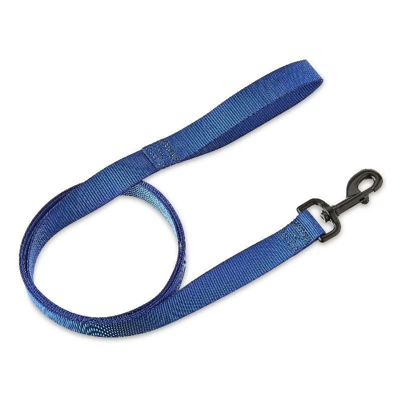6' Solid Polyester Leash, Blue, M/L