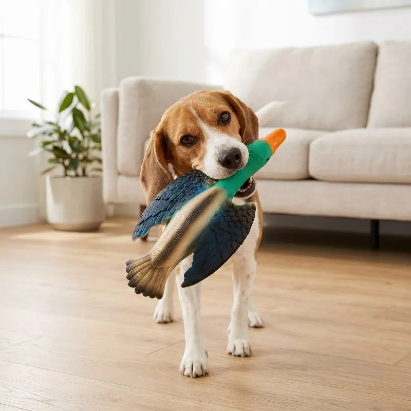 Multicolor Duck Latex Dog Toy with Squeaker, Chew Level 3
